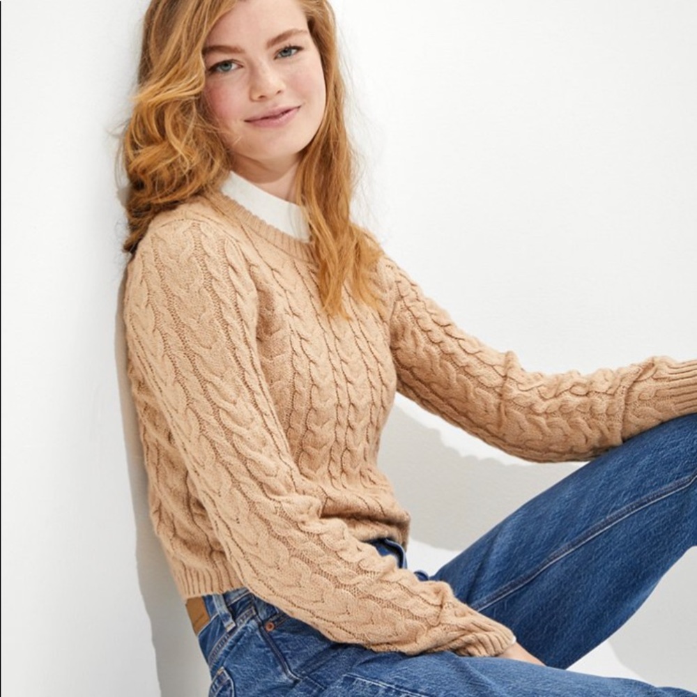 American Eagle cable knit sweater